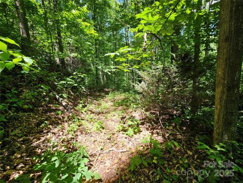 00 Owens Road Waynesville NC 28785
