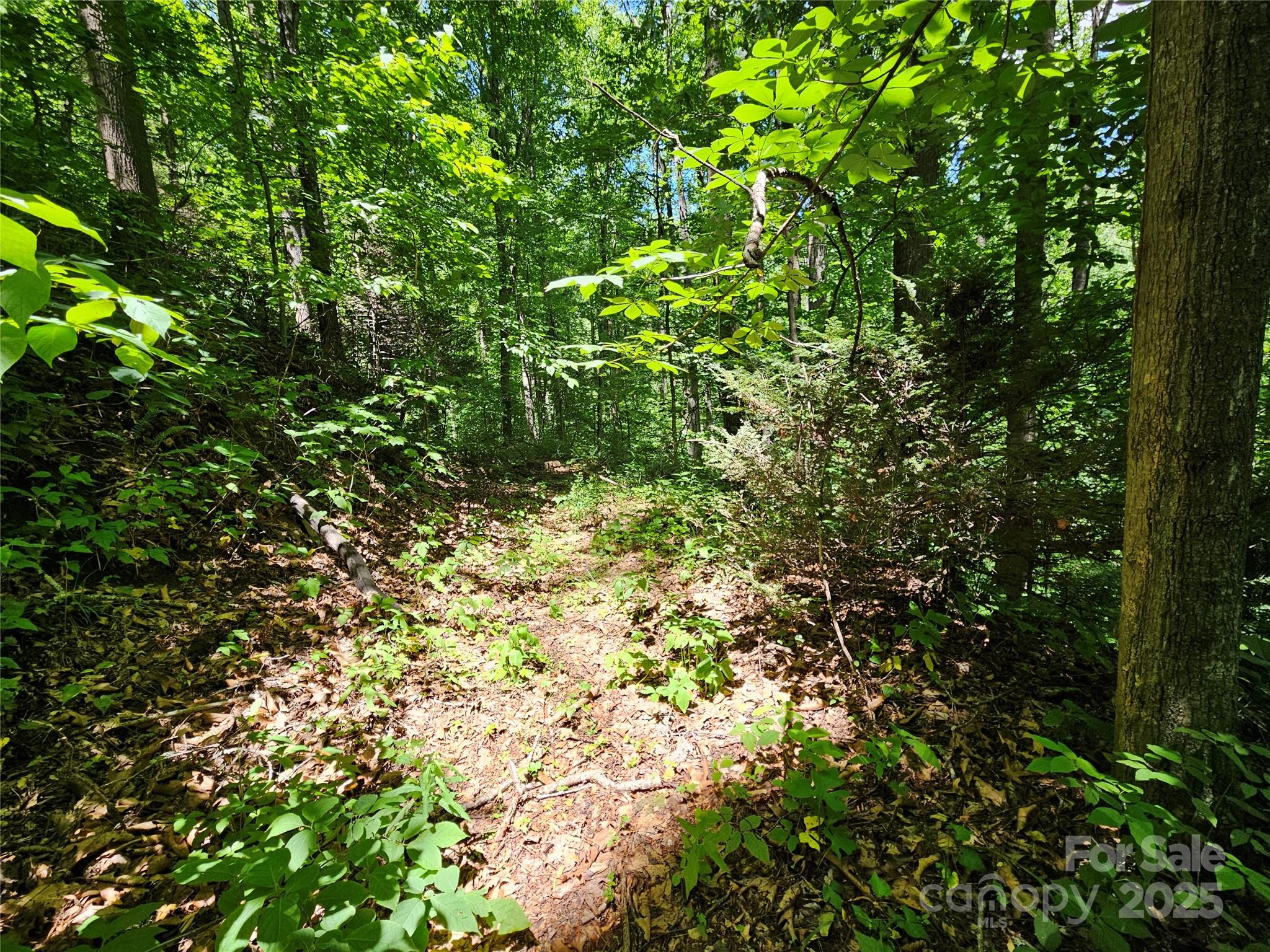 00 Owens Road Waynesville NC 28785