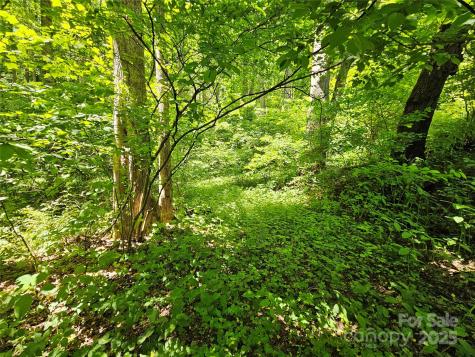 00 Owens Road Waynesville NC 28785