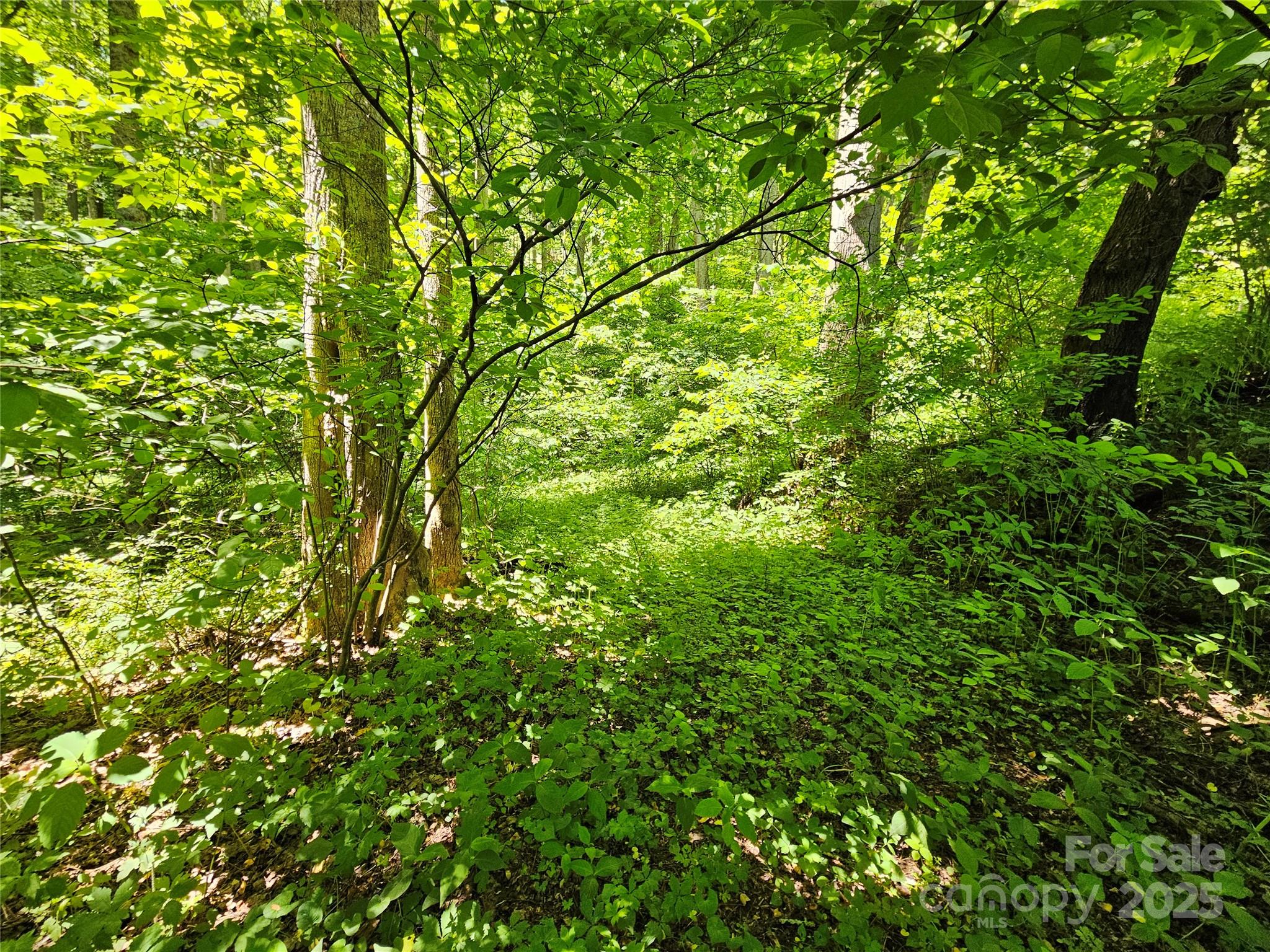 00 Owens Road Waynesville NC 28785