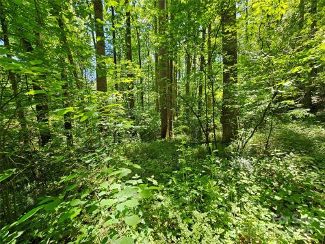 00 Owens Road Waynesville NC 28785