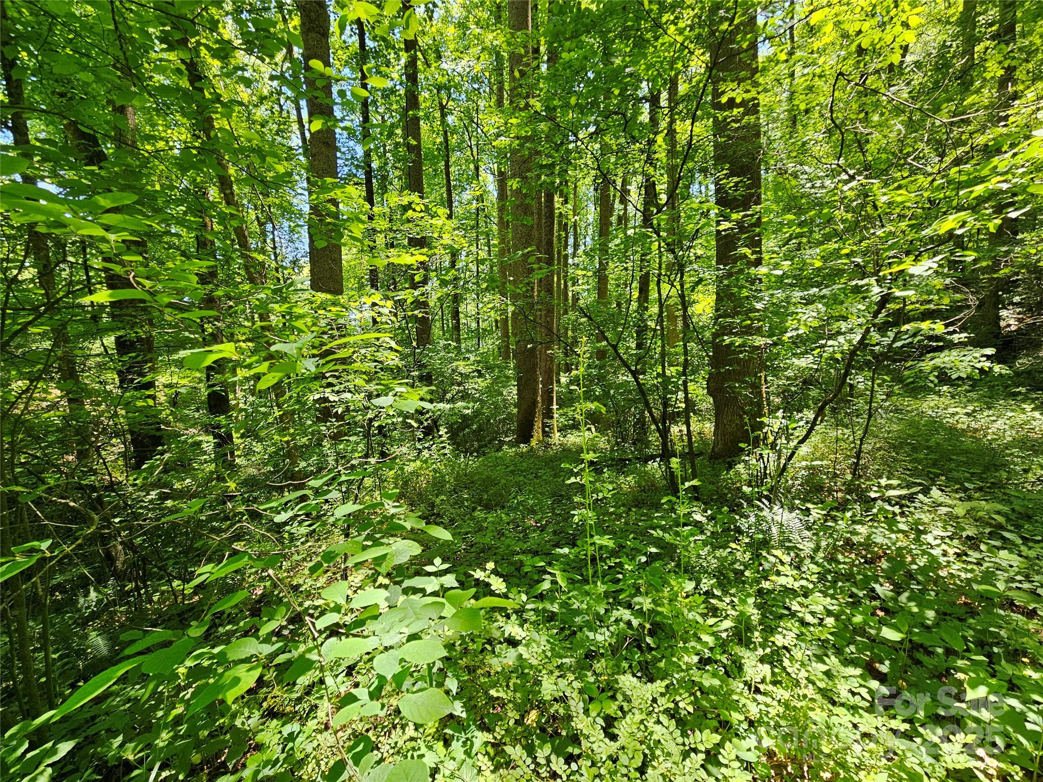 00 Owens Road Waynesville NC 28785