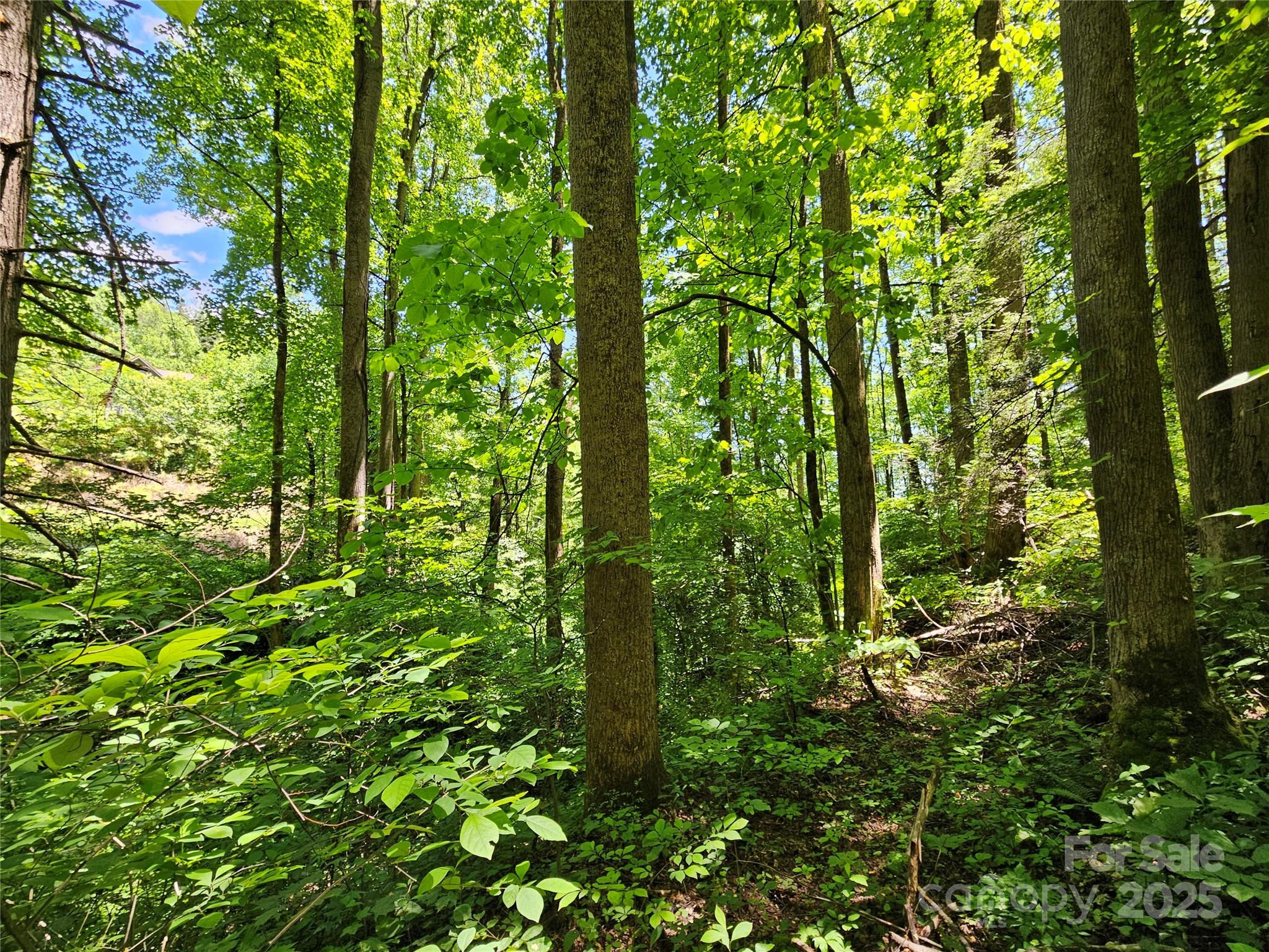 00 Owens Road Waynesville NC 28785