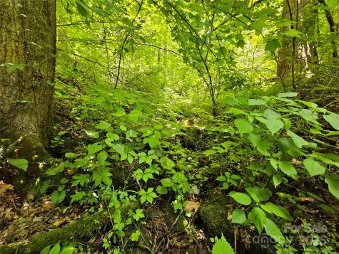 00 Owens Road Waynesville NC 28785