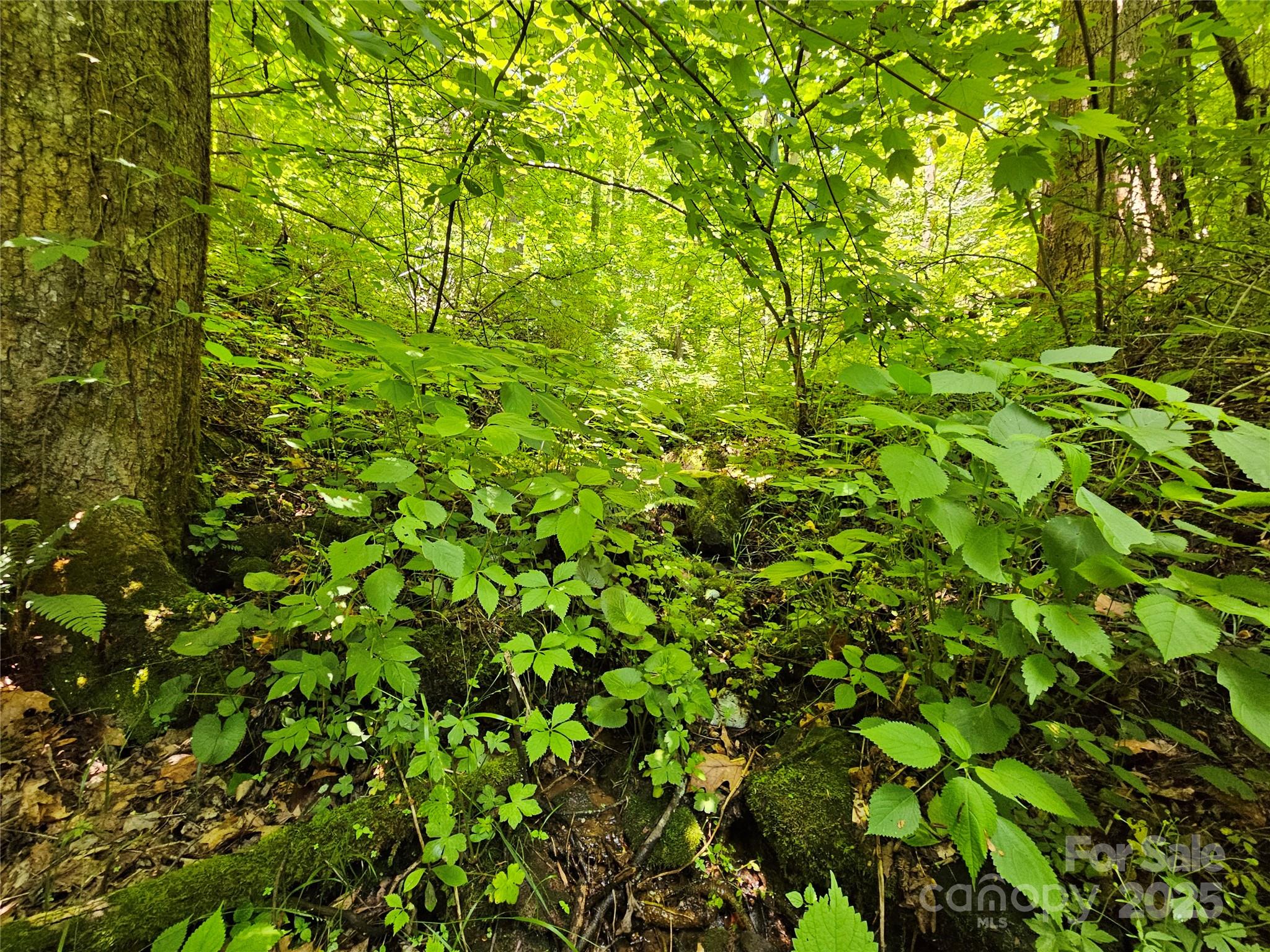 00 Owens Road Waynesville NC 28785