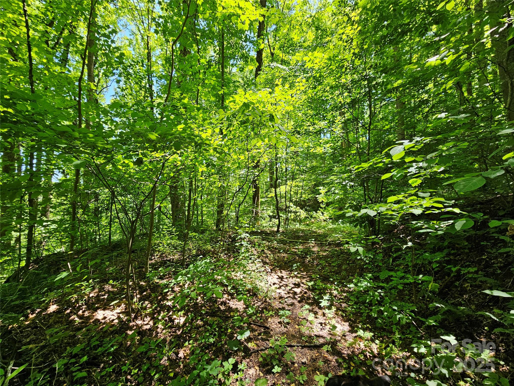 00 Owens Road Waynesville NC 28785