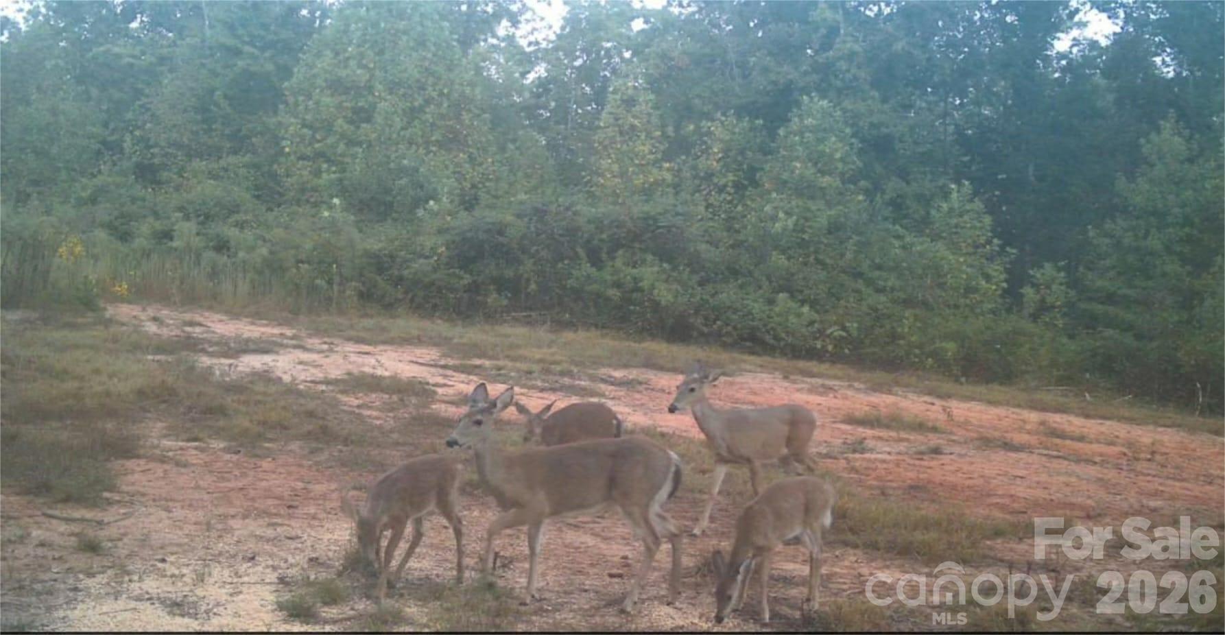 4204 Bennett Road Morganton NC 28655