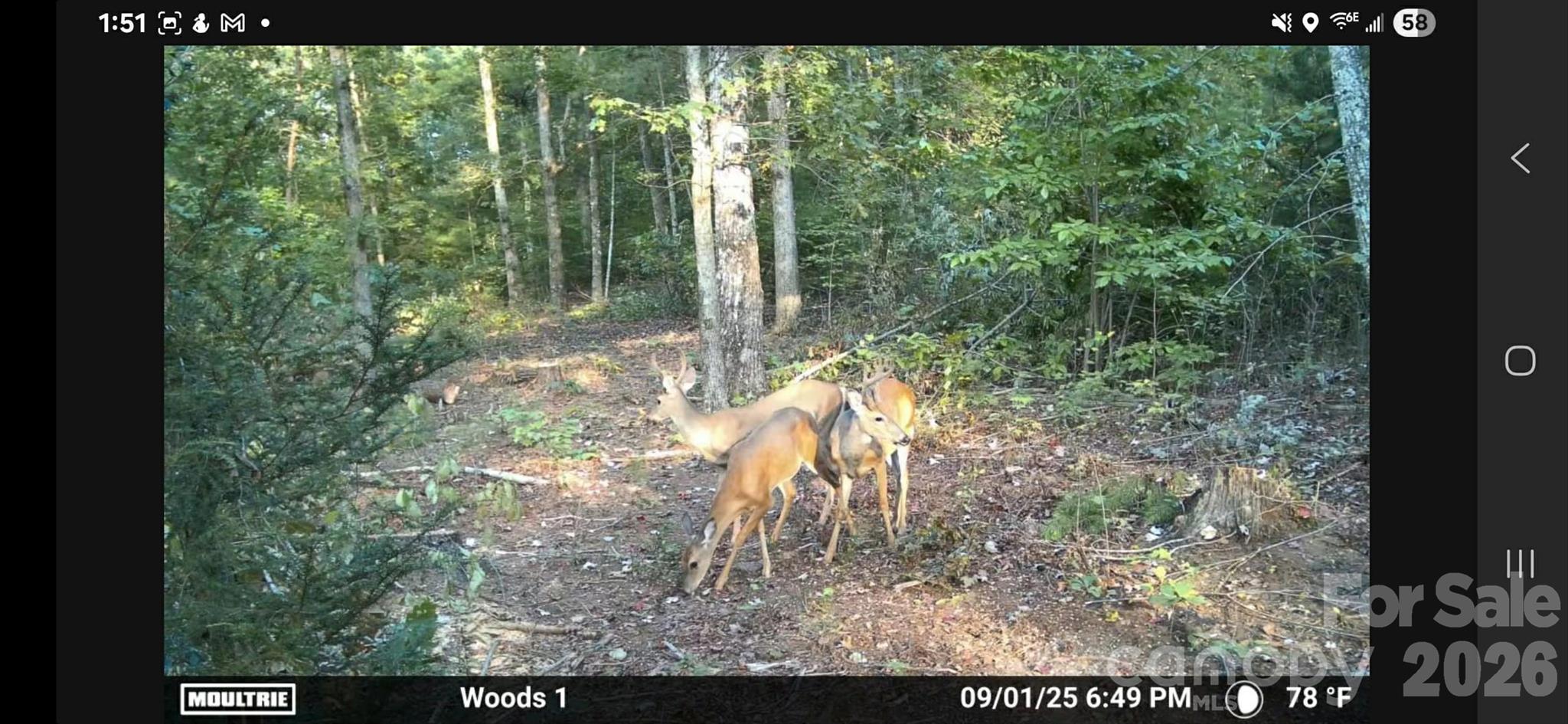4204 Bennett Road Morganton NC 28655