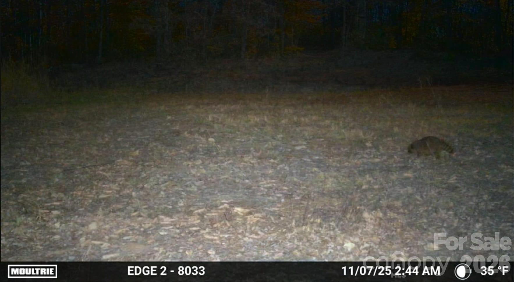 4204 Bennett Road Morganton NC 28655