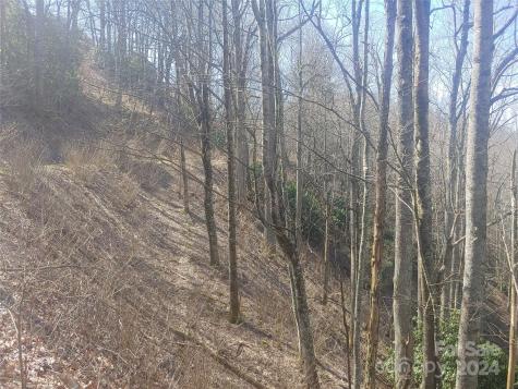 38 Barn Cove Road Clyde NC 28721