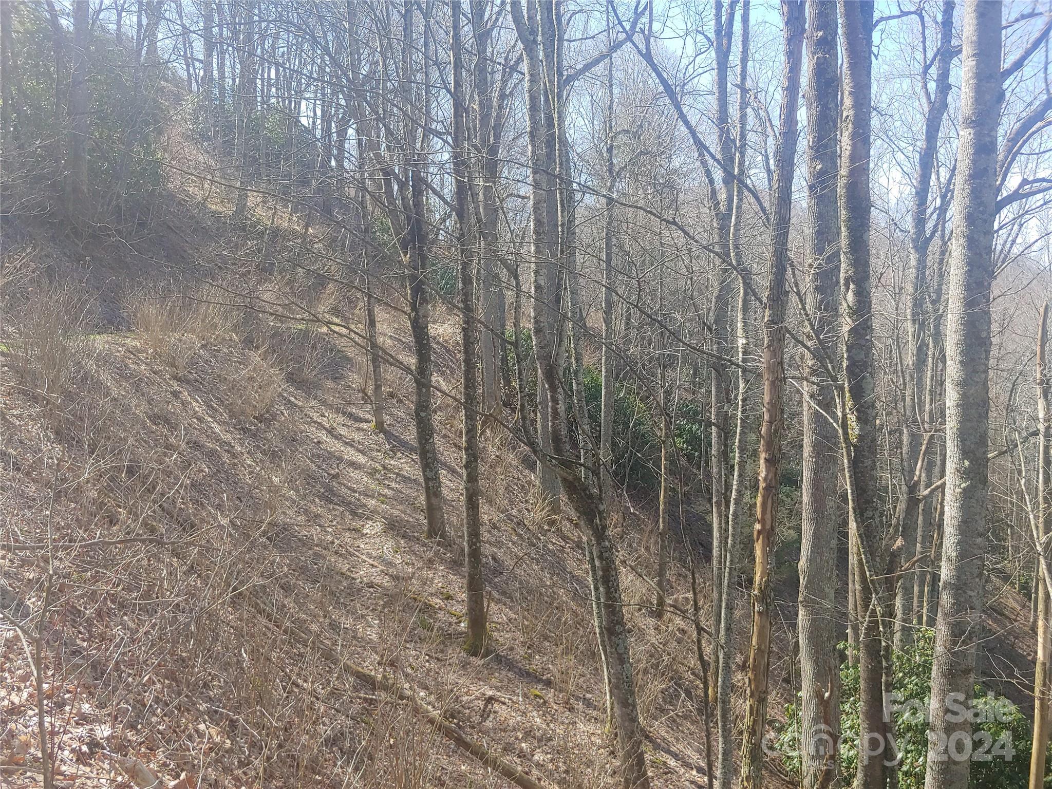 38 Barn Cove Road Clyde NC 28721