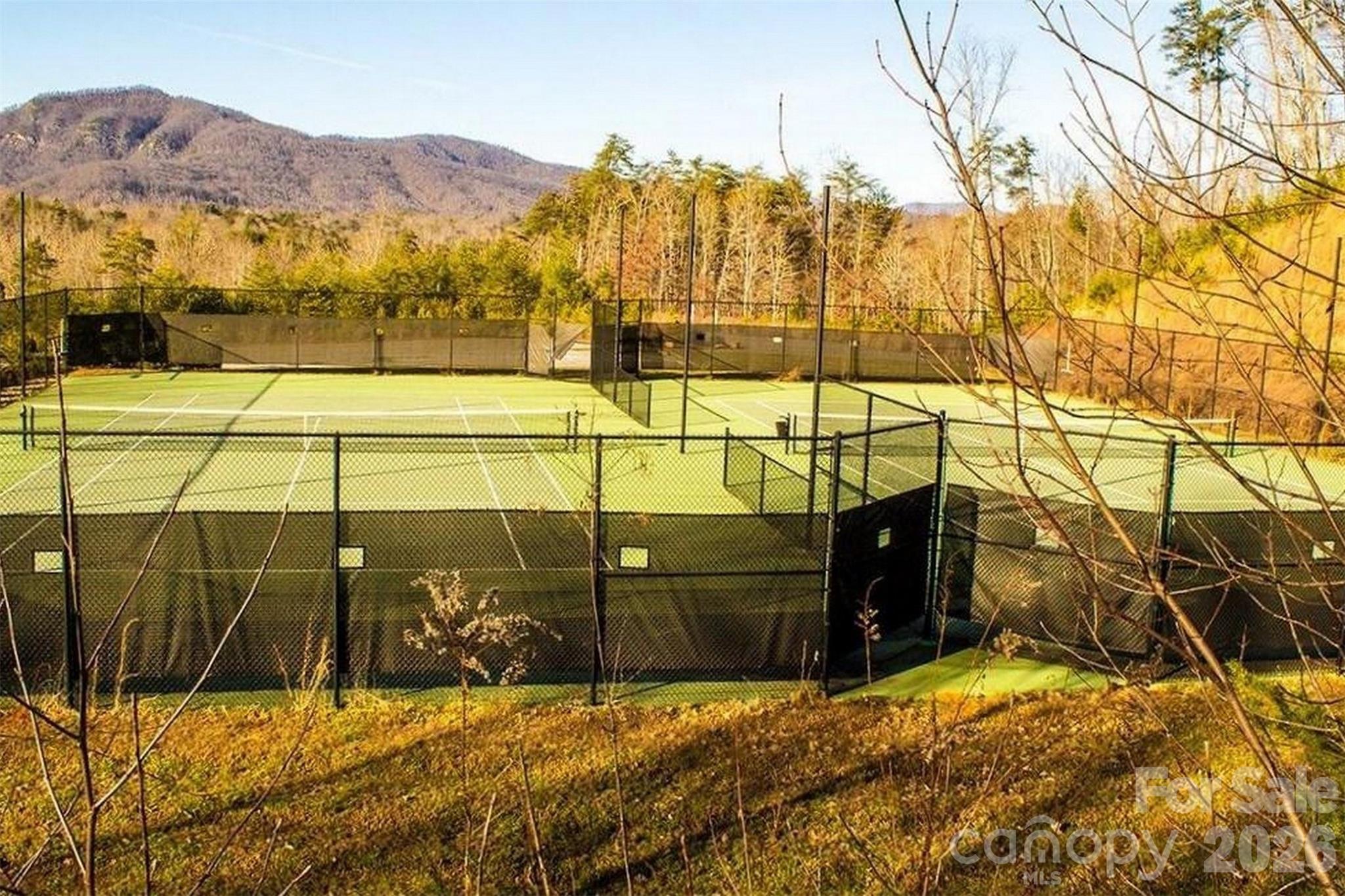 Lot 272 Bills Mountain Trail Lake Lure NC 28746