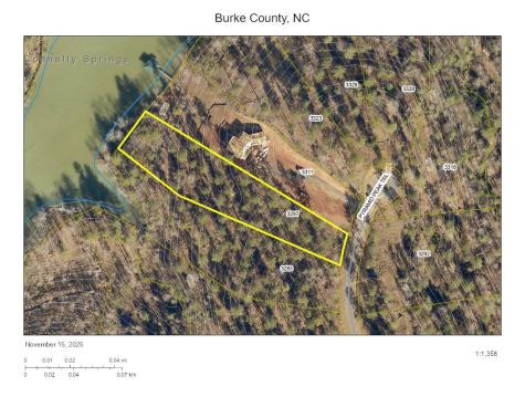 3297 Pyramid Peak Trail Connelly Springs NC 28612