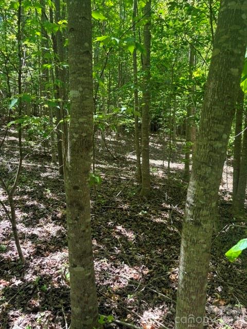 0 E Pine Hill Avenue Morganton NC 28655