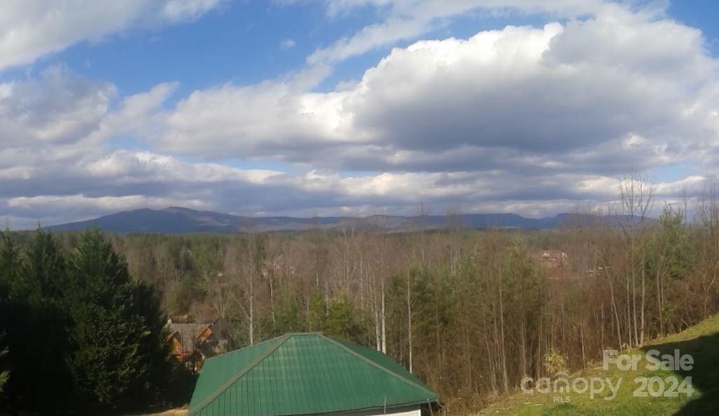9999 Misty Mountain Drive Nebo NC 28761