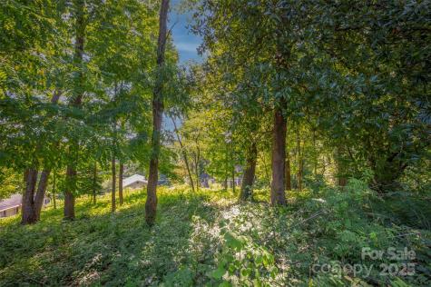 00 Hillside Court Tryon NC 28782