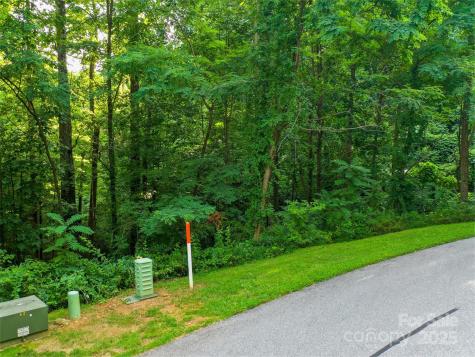 0 Freedom Trail Court Zirconia NC 28790