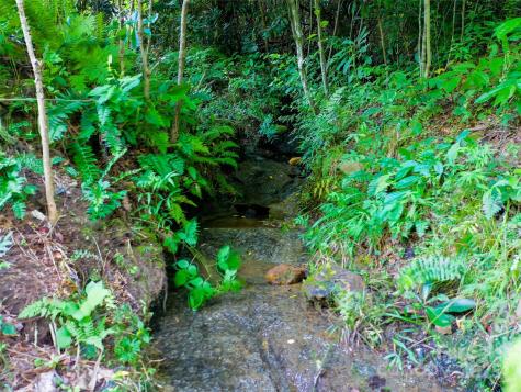 0 Freedom Trail Court Zirconia NC 28790