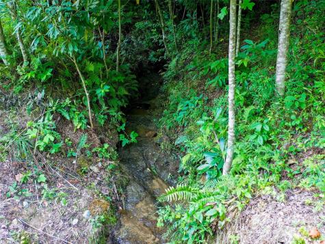 0 Freedom Trail Court Zirconia NC 28790