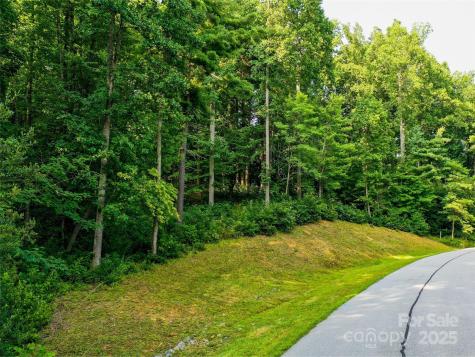 0 Freedom Trail Court Zirconia NC 28790