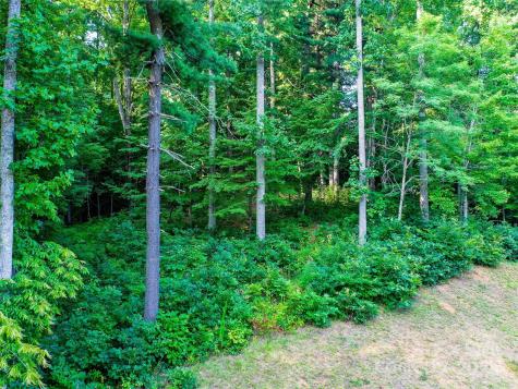 0 Freedom Trail Court Zirconia NC 28790