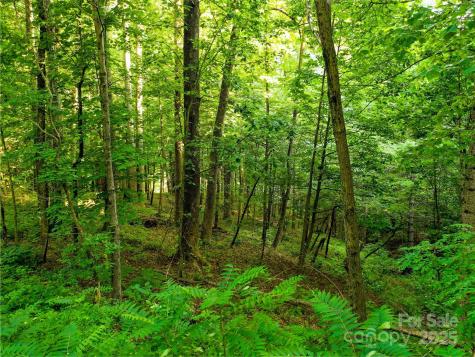 0 Freedom Trail Court Zirconia NC 28790