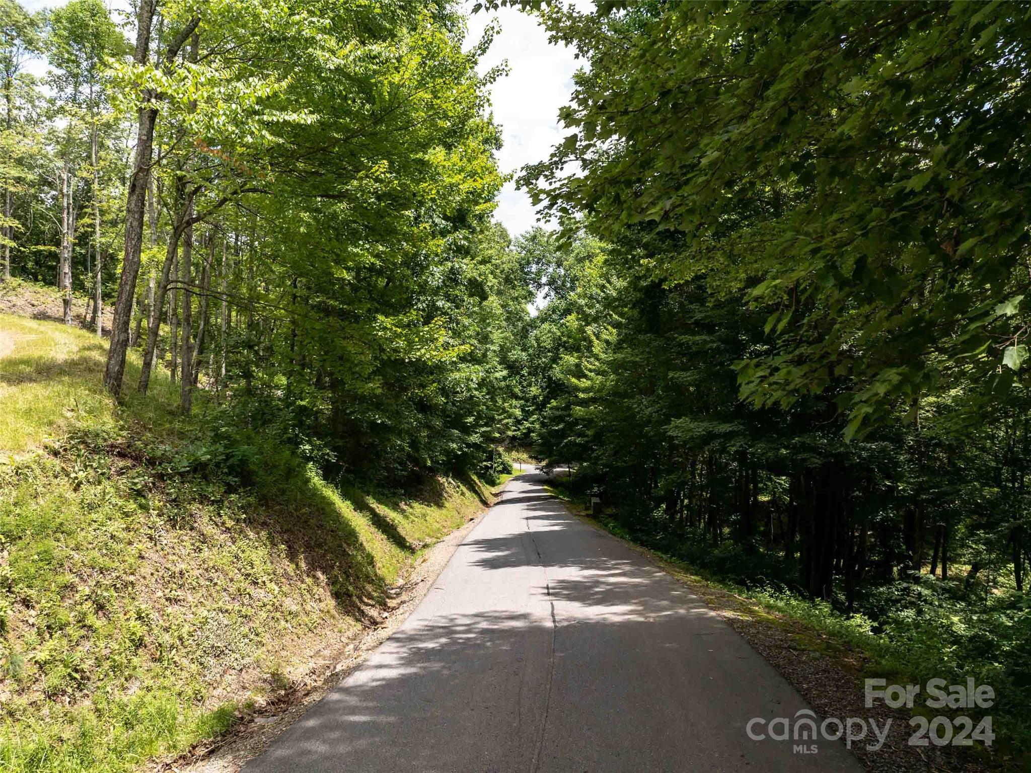 #32 Tapestry Trail Waynesville NC 28785