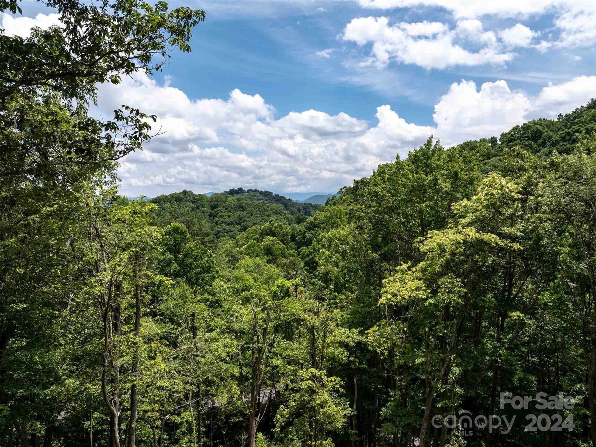 #32 Tapestry Trail Waynesville NC 28785