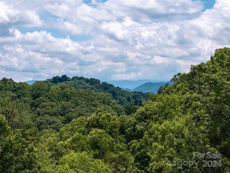 #32 Tapestry Trail Waynesville NC 28785