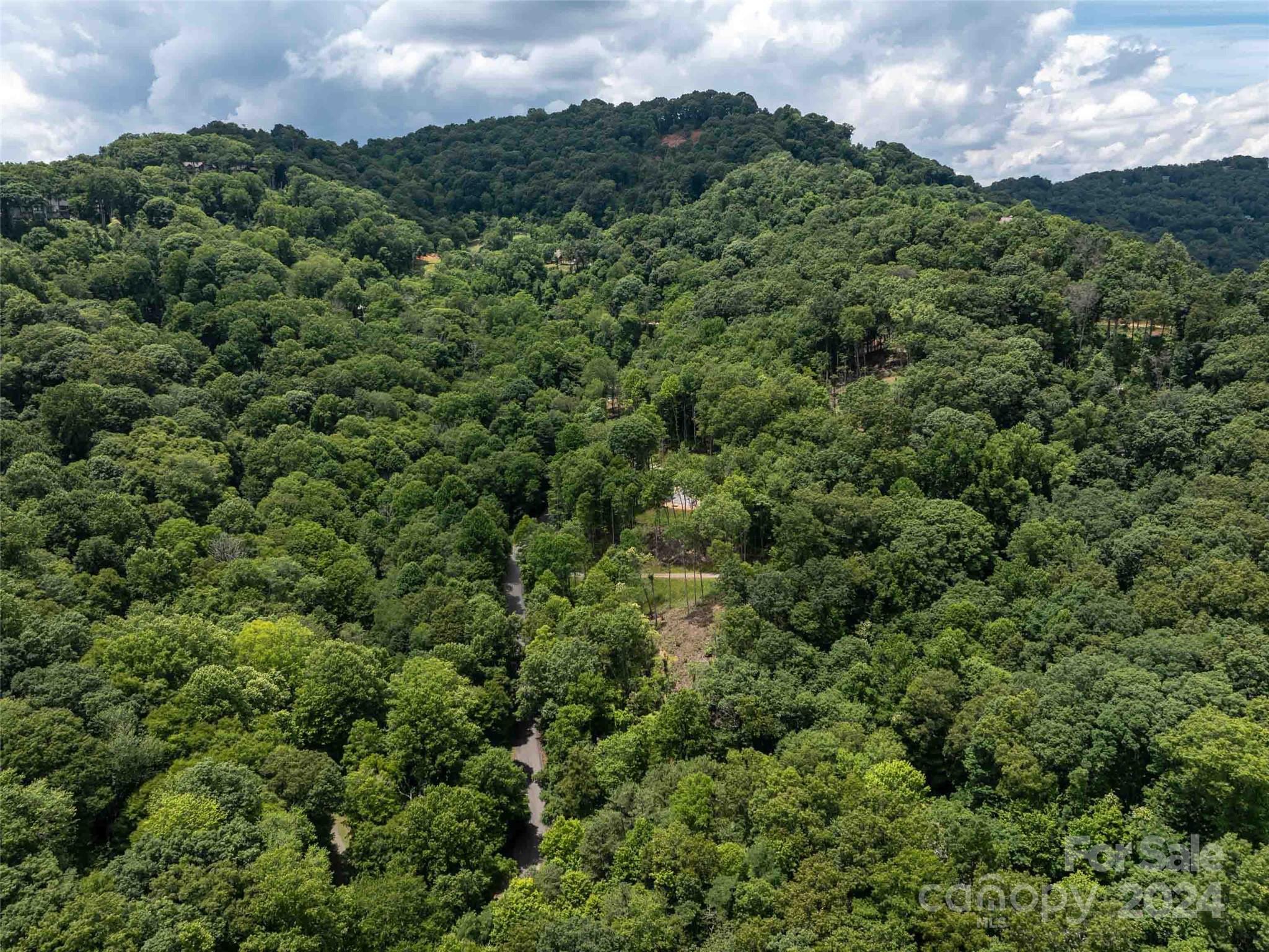 #32 Tapestry Trail Waynesville NC 28785
