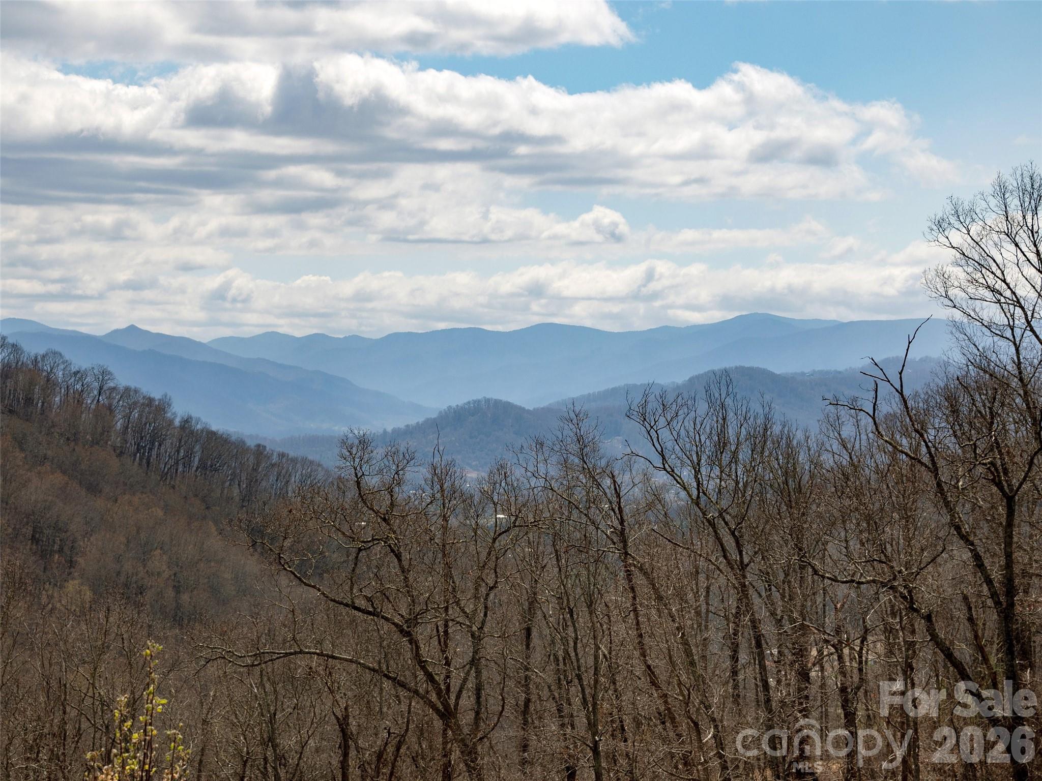 Tbd Wilson Cove Road Canton NC 28716