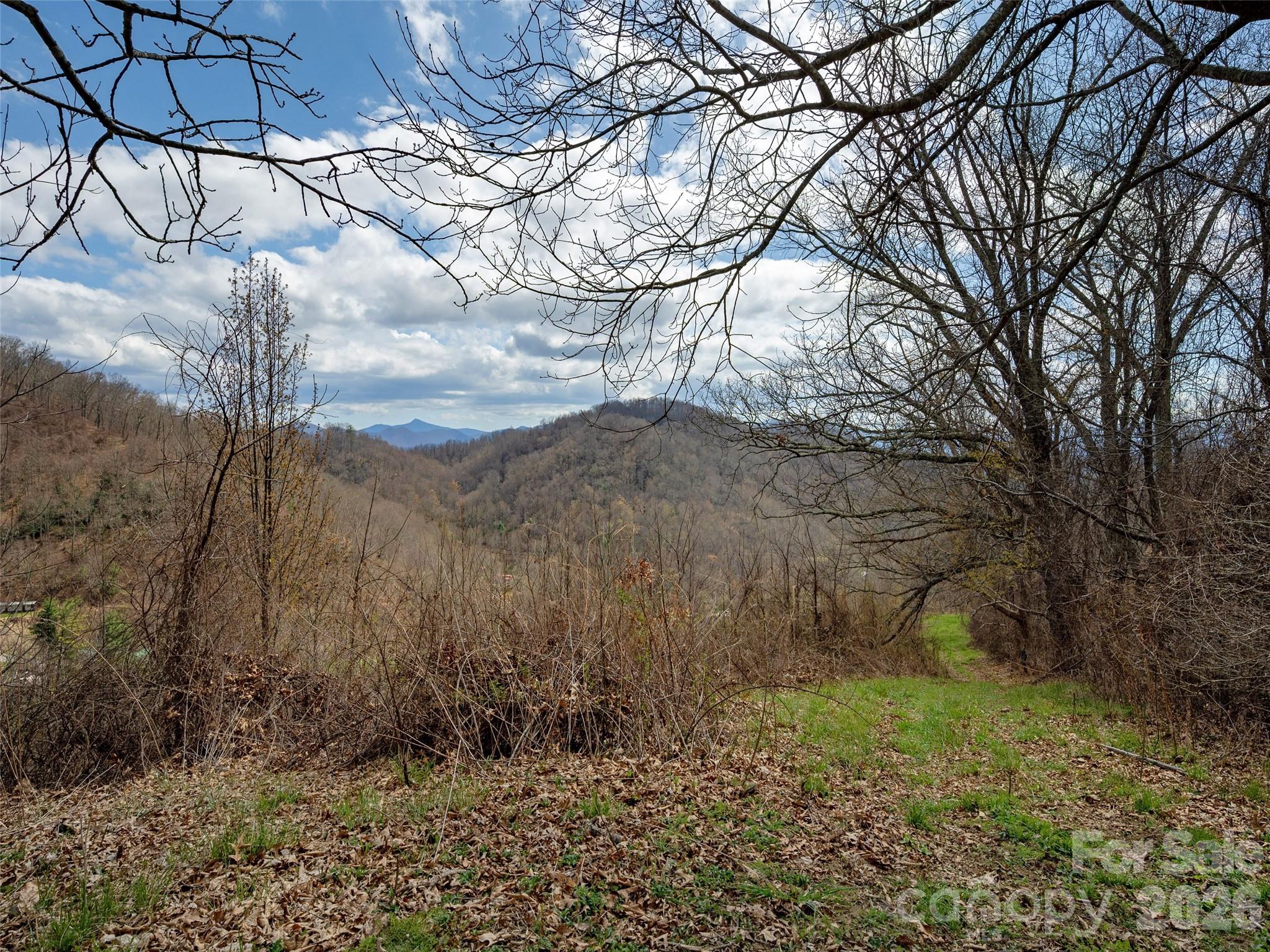 Tbd Wilson Cove Road Canton NC 28716