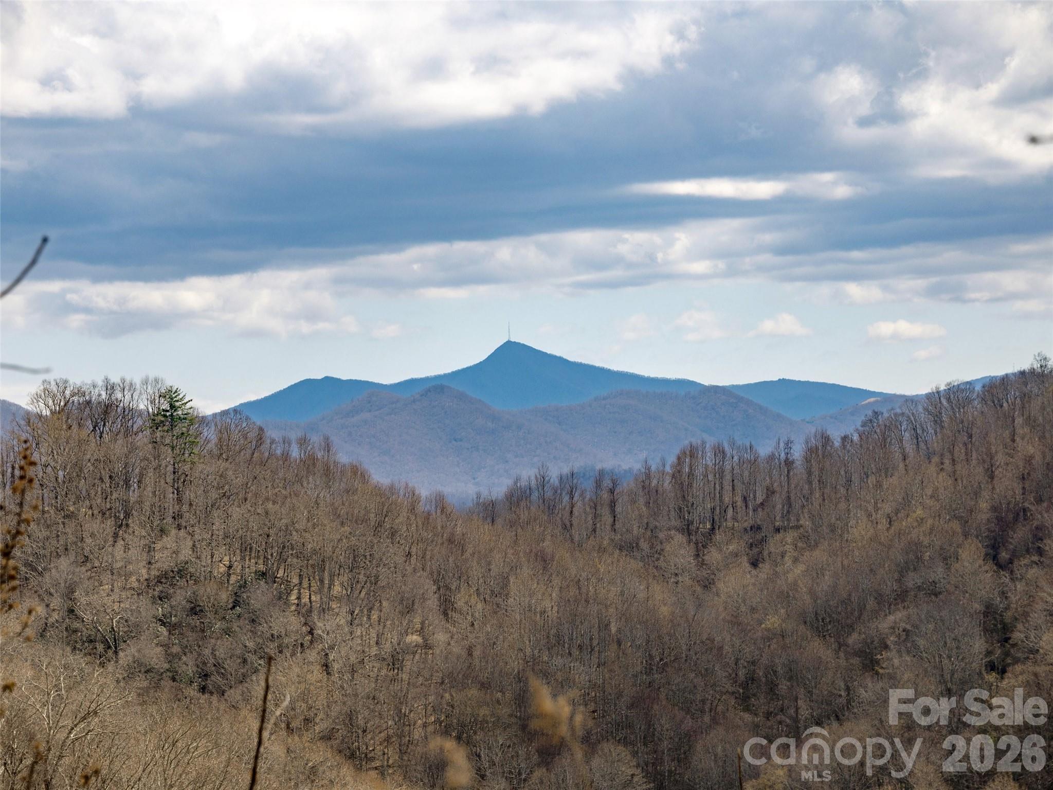 Tbd Wilson Cove Road Canton NC 28716