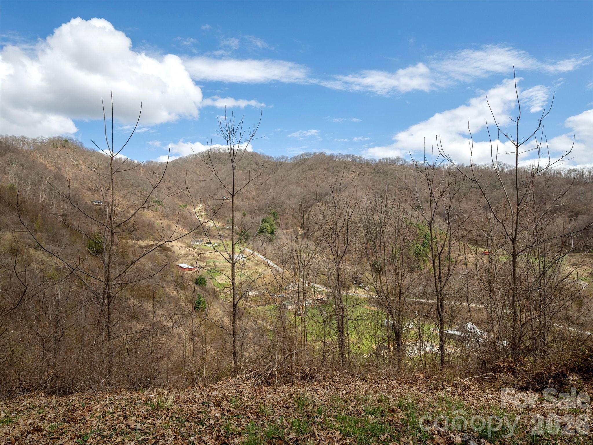 Tbd Wilson Cove Road Canton NC 28716