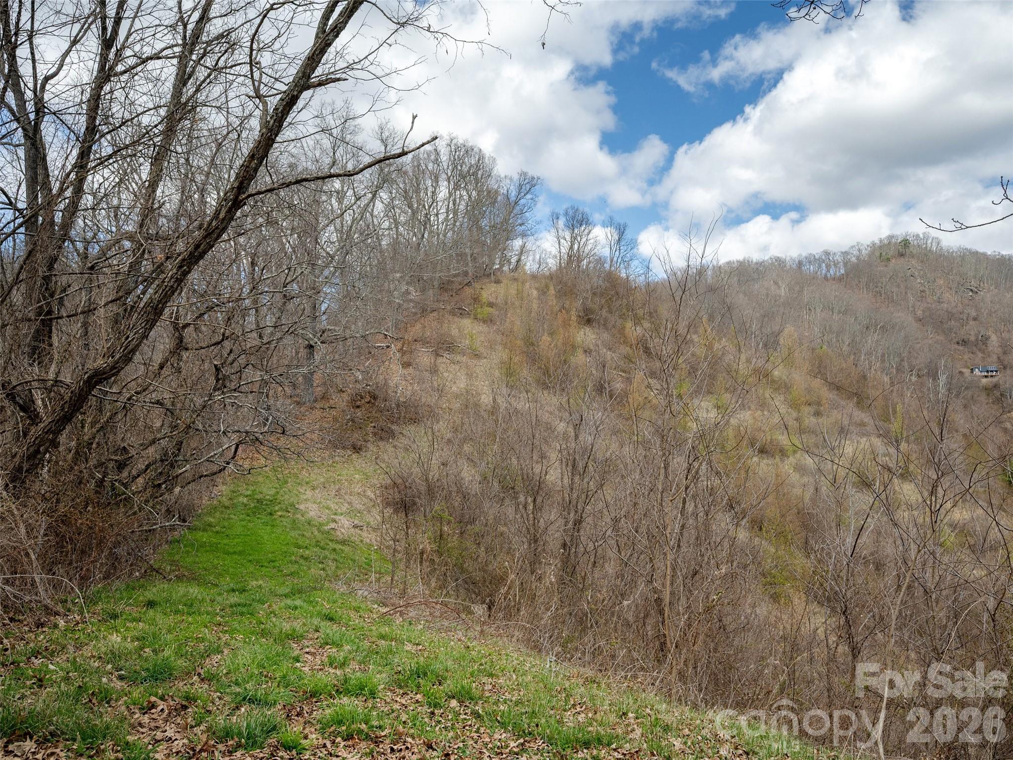 Tbd Wilson Cove Road Canton NC 28716