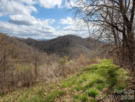 Tbd Wilson Cove Road Canton NC 28716