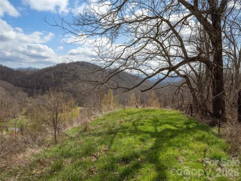 Tbd Wilson Cove Road Canton NC 28716
