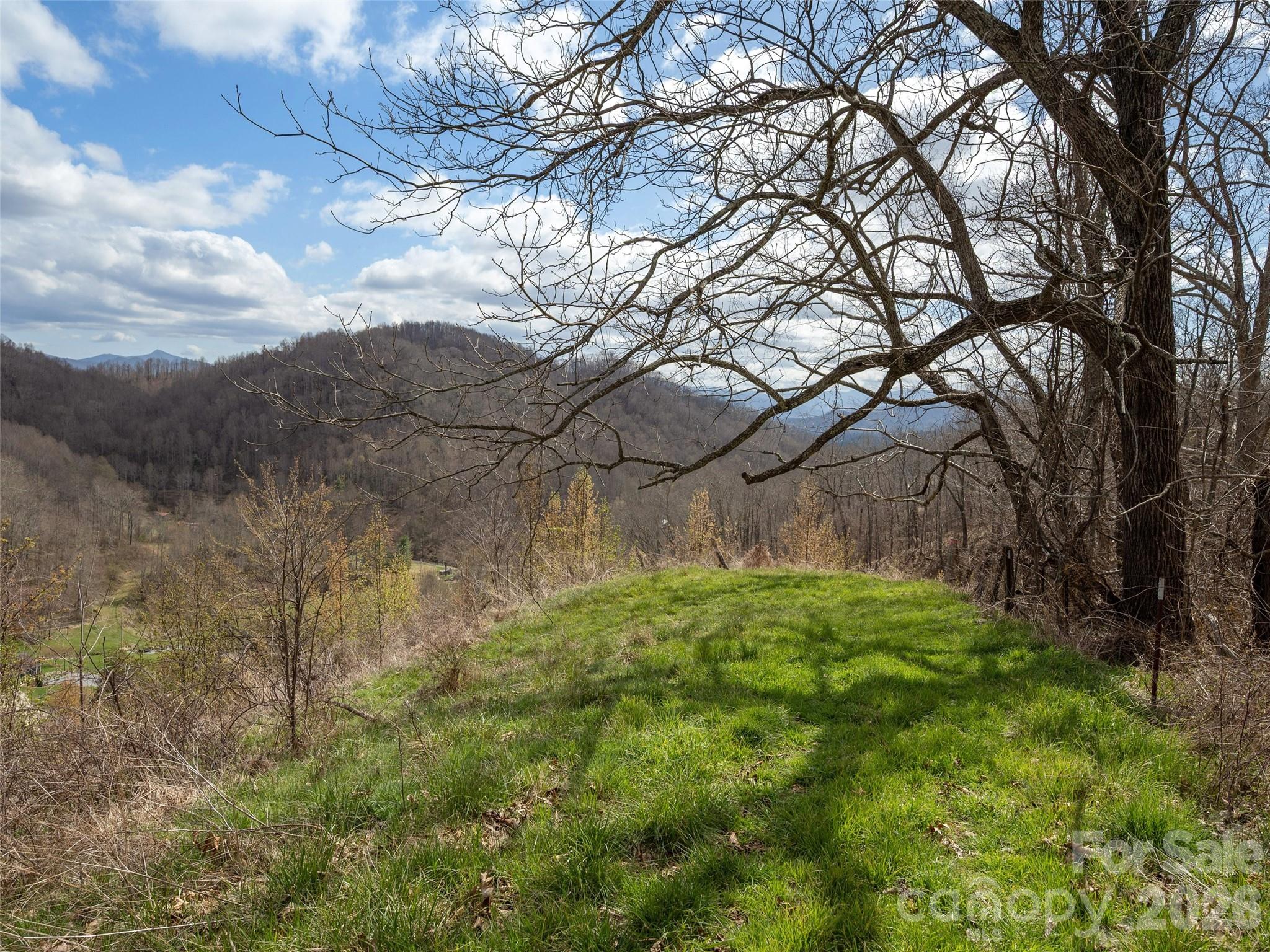 Tbd Wilson Cove Road Canton NC 28716