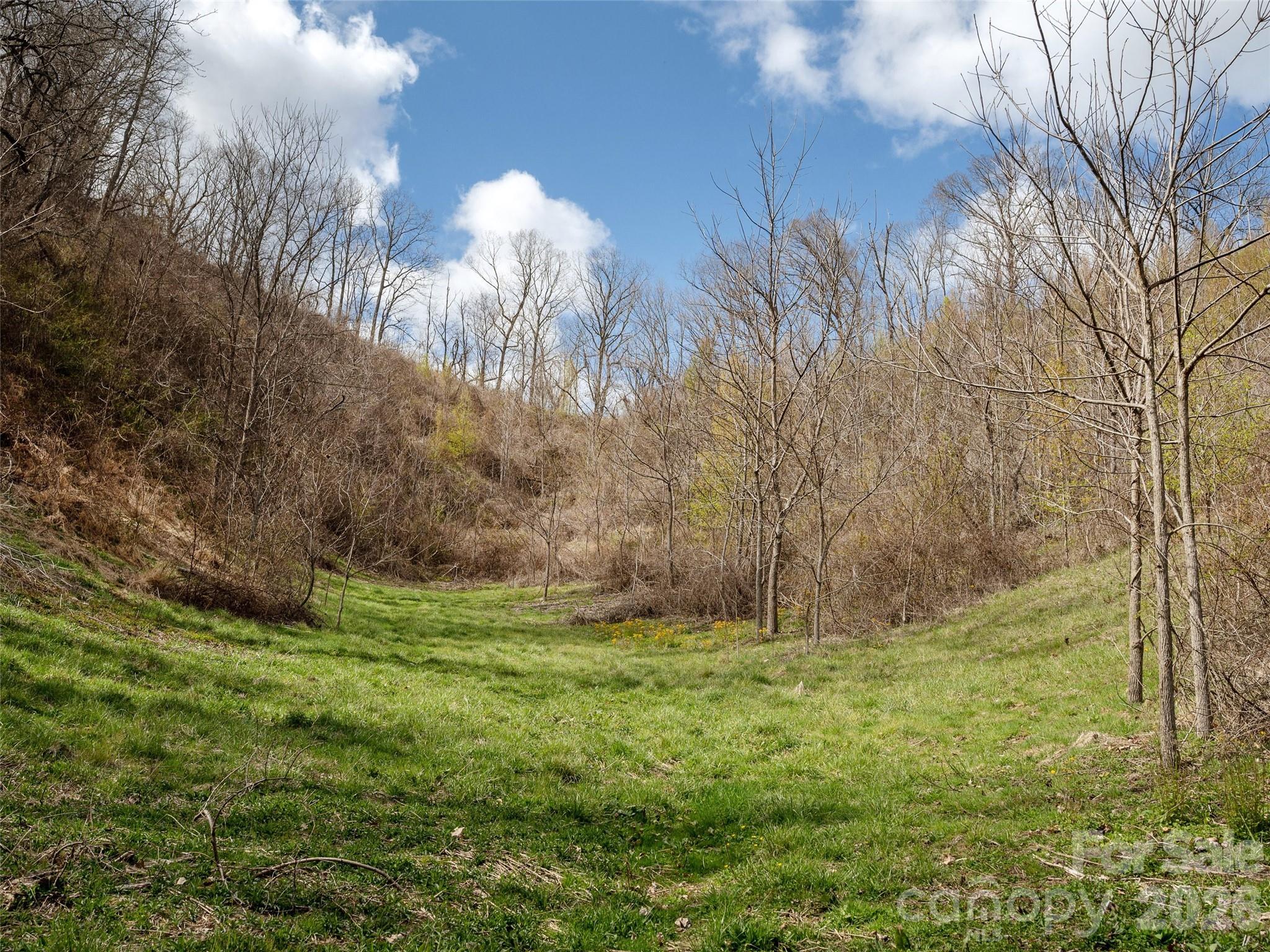 Tbd Wilson Cove Road Canton NC 28716