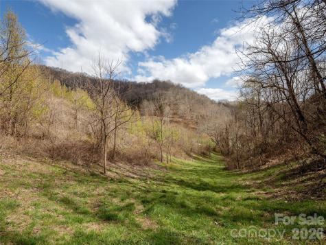 Tbd Wilson Cove Road Canton NC 28716