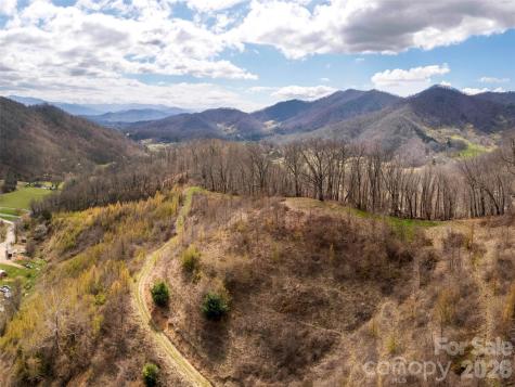 Tbd Wilson Cove Road Canton NC 28716