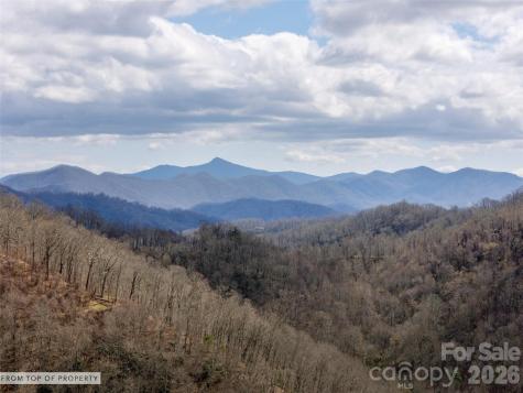 Tbd Wilson Cove Road Canton NC 28716