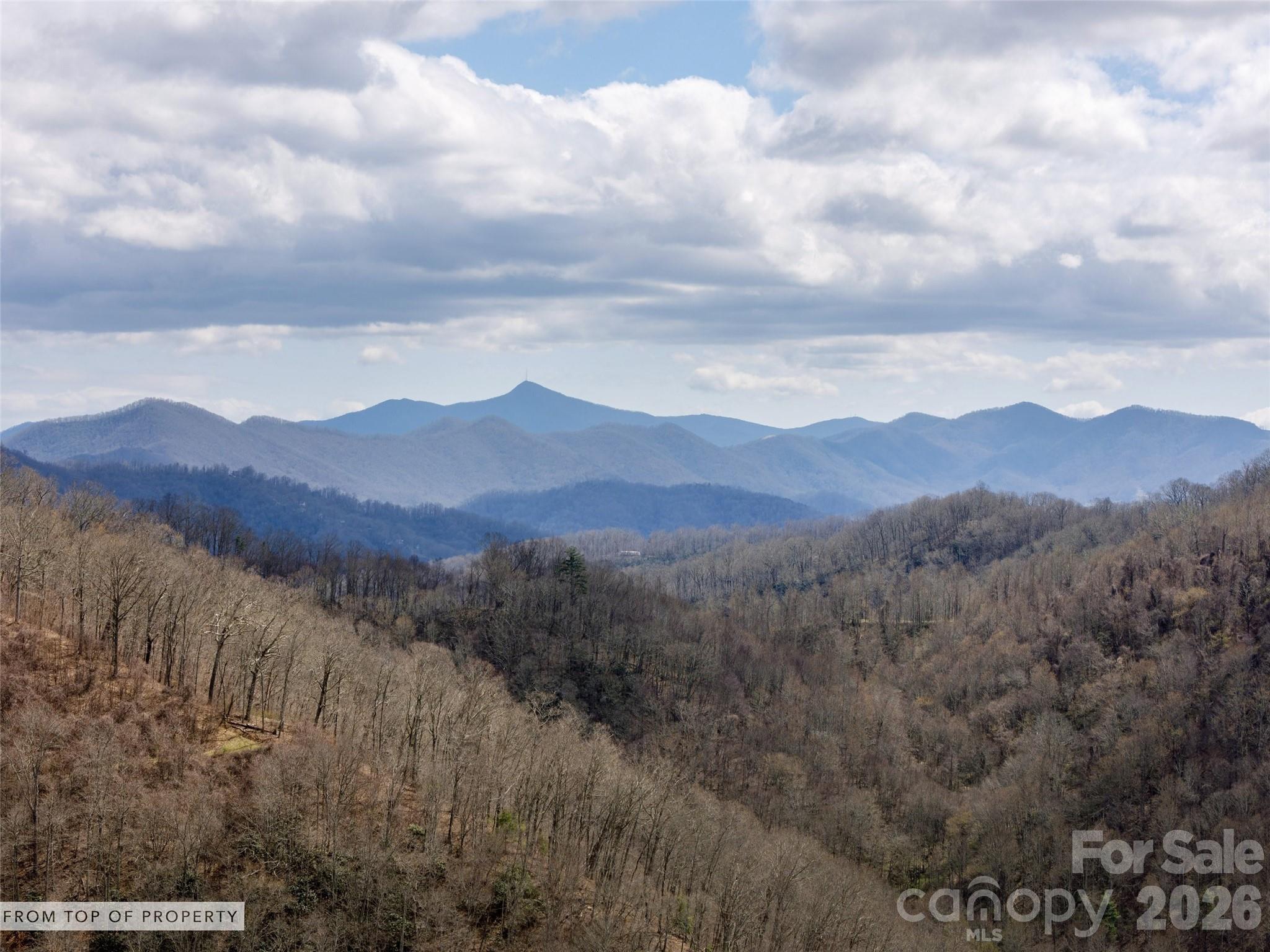 Tbd Wilson Cove Road Canton NC 28716