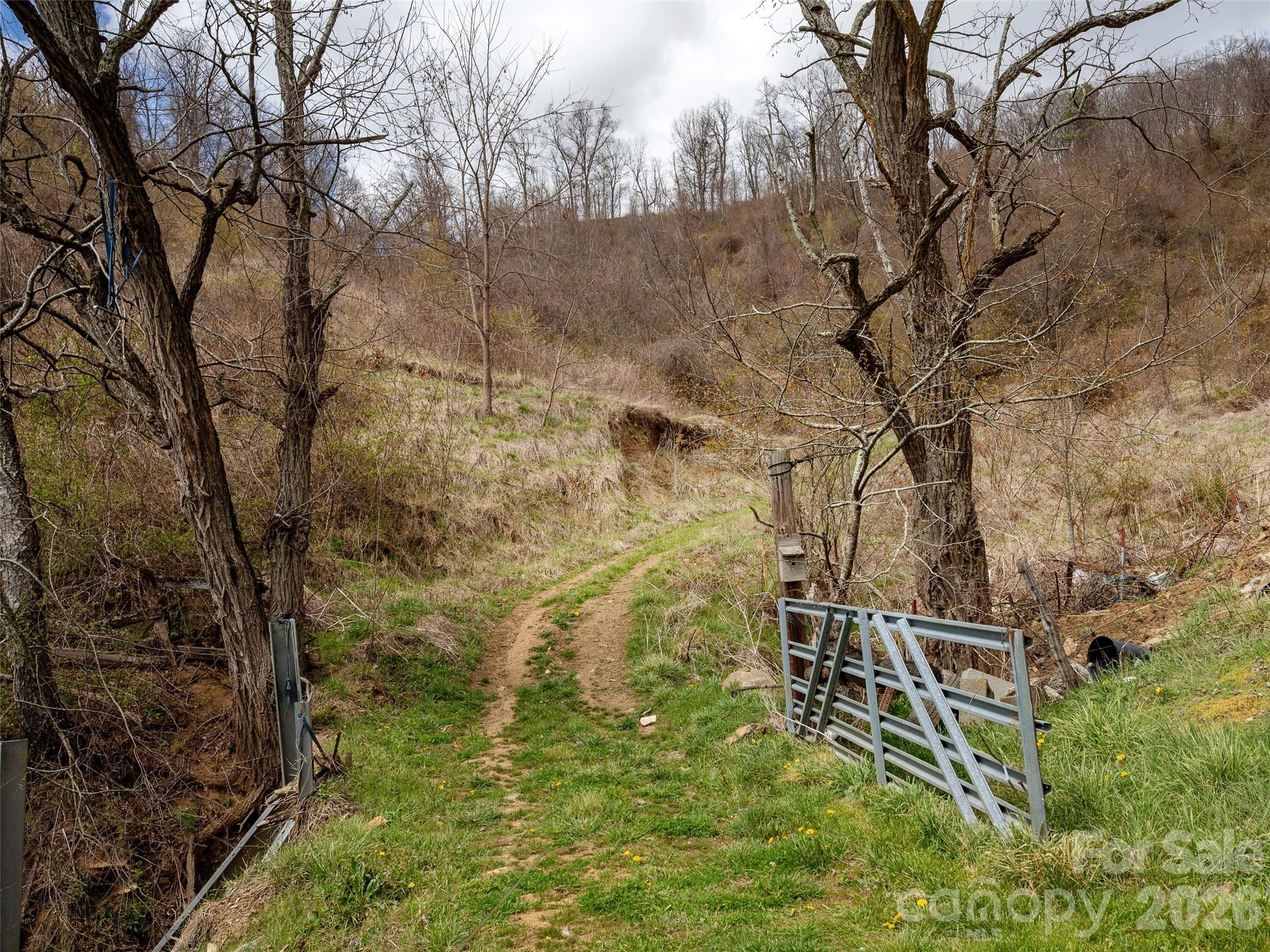 Tbd Wilson Cove Road Canton NC 28716