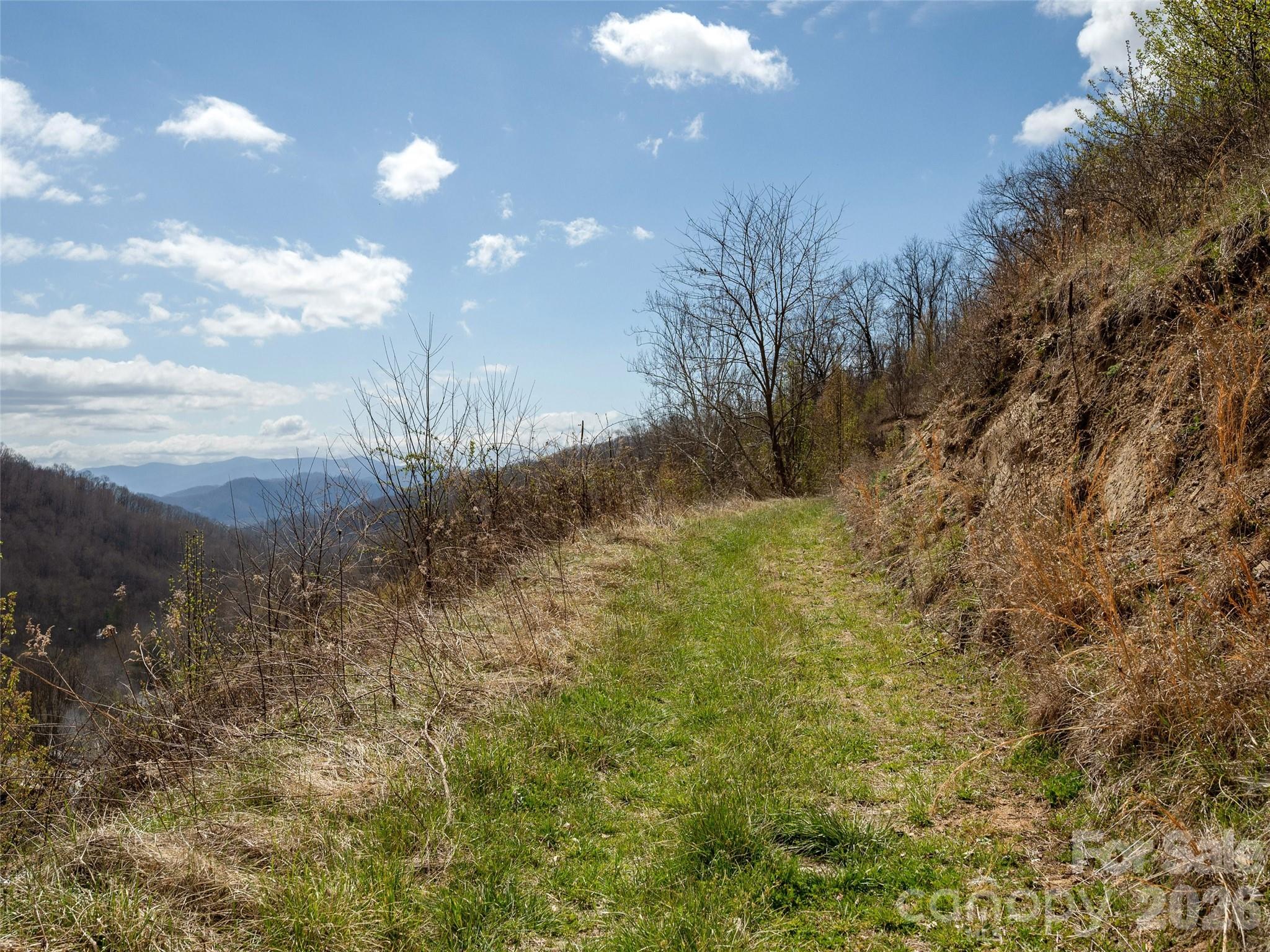 Tbd Wilson Cove Road Canton NC 28716