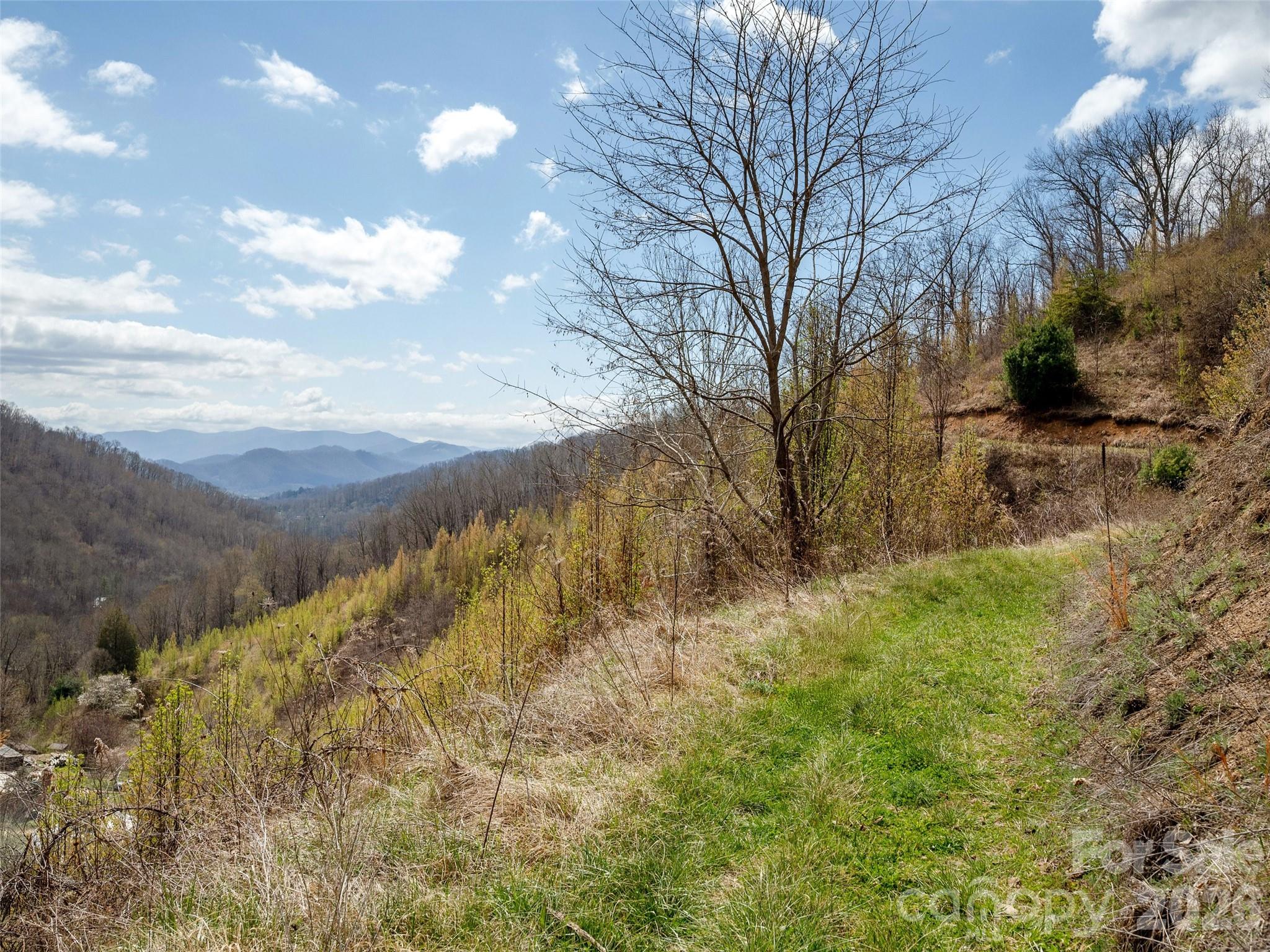 Tbd Wilson Cove Road Canton NC 28716