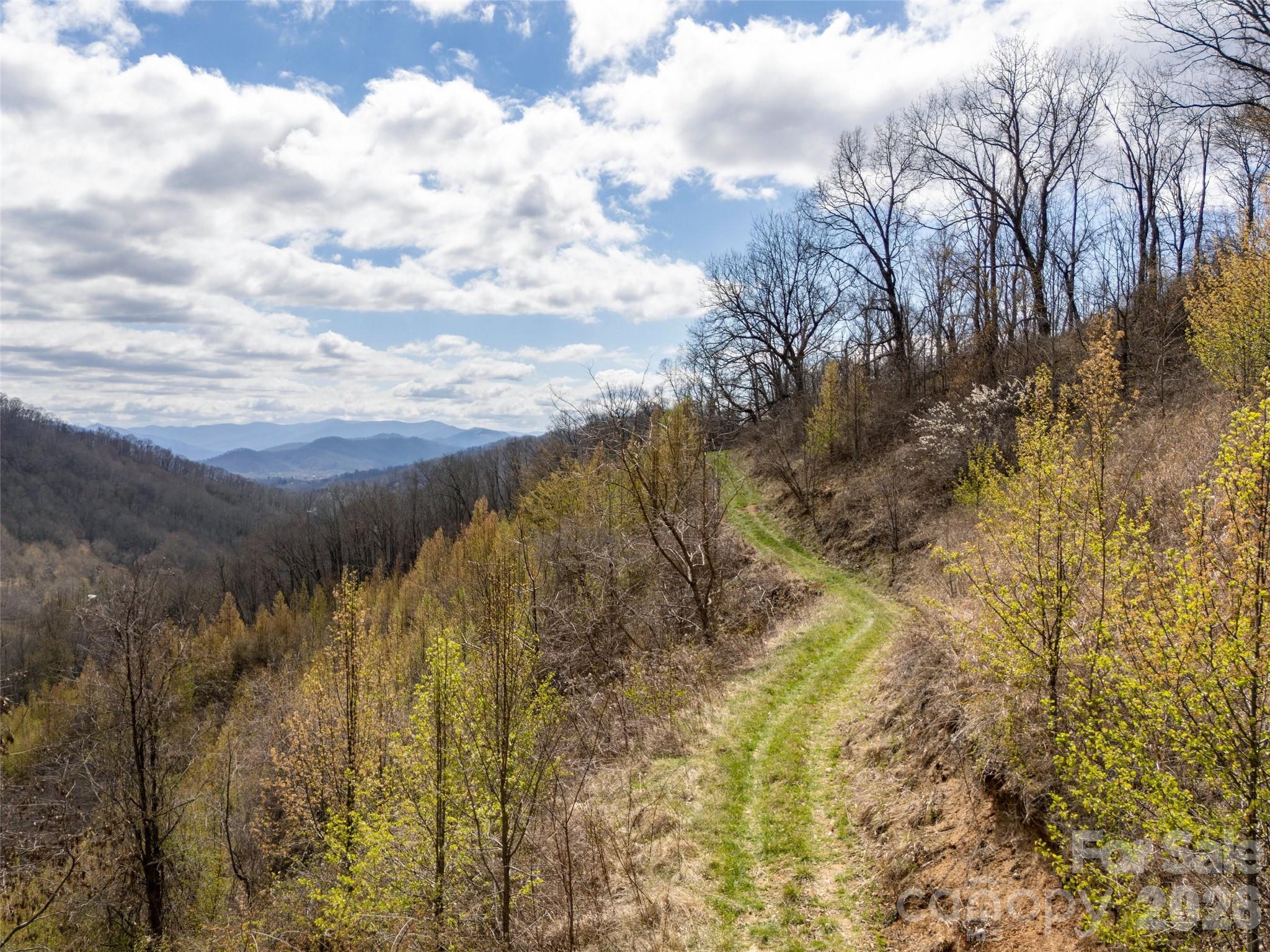 Tbd Wilson Cove Road Canton NC 28716