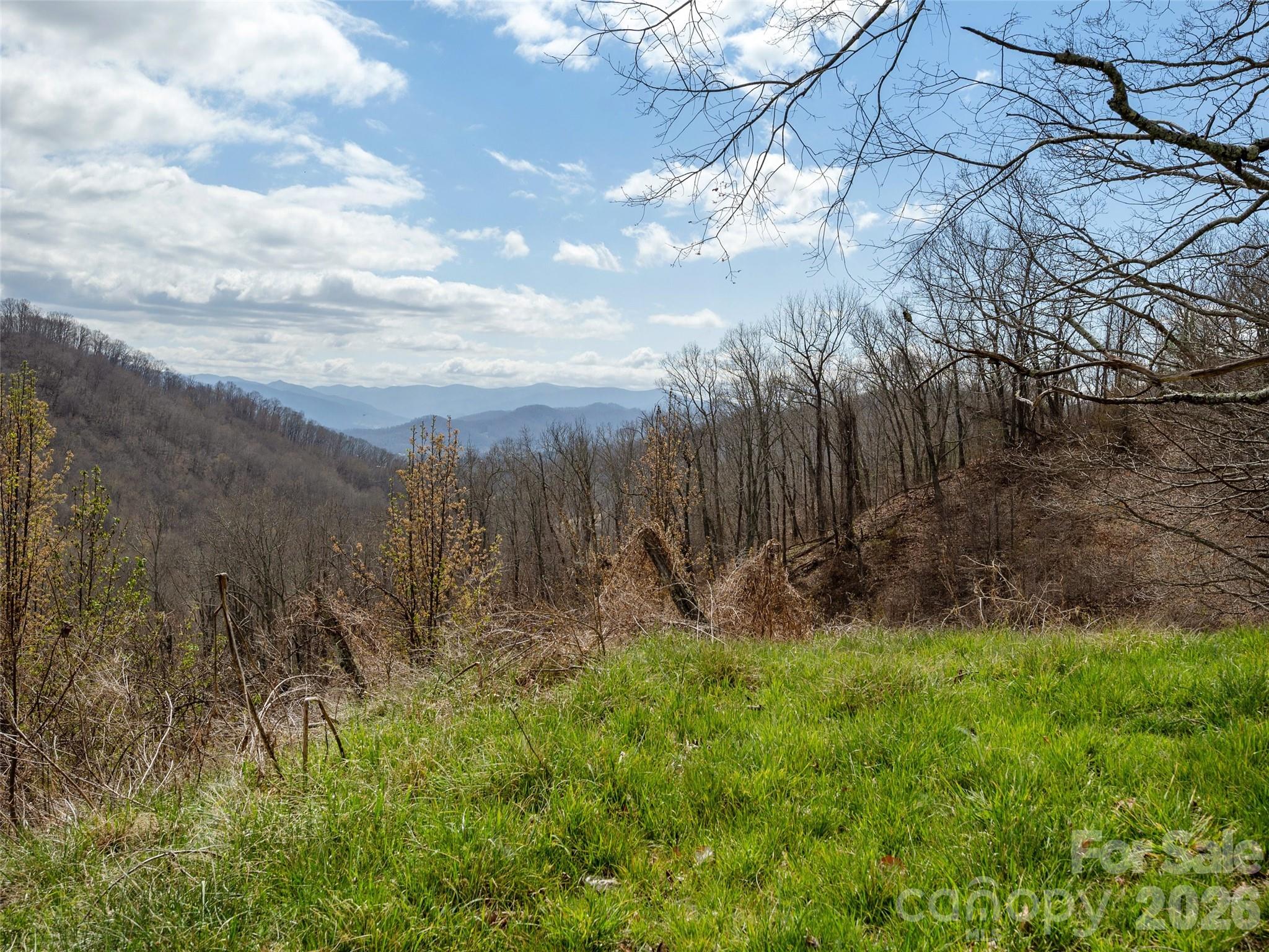 Tbd Wilson Cove Road Canton NC 28716