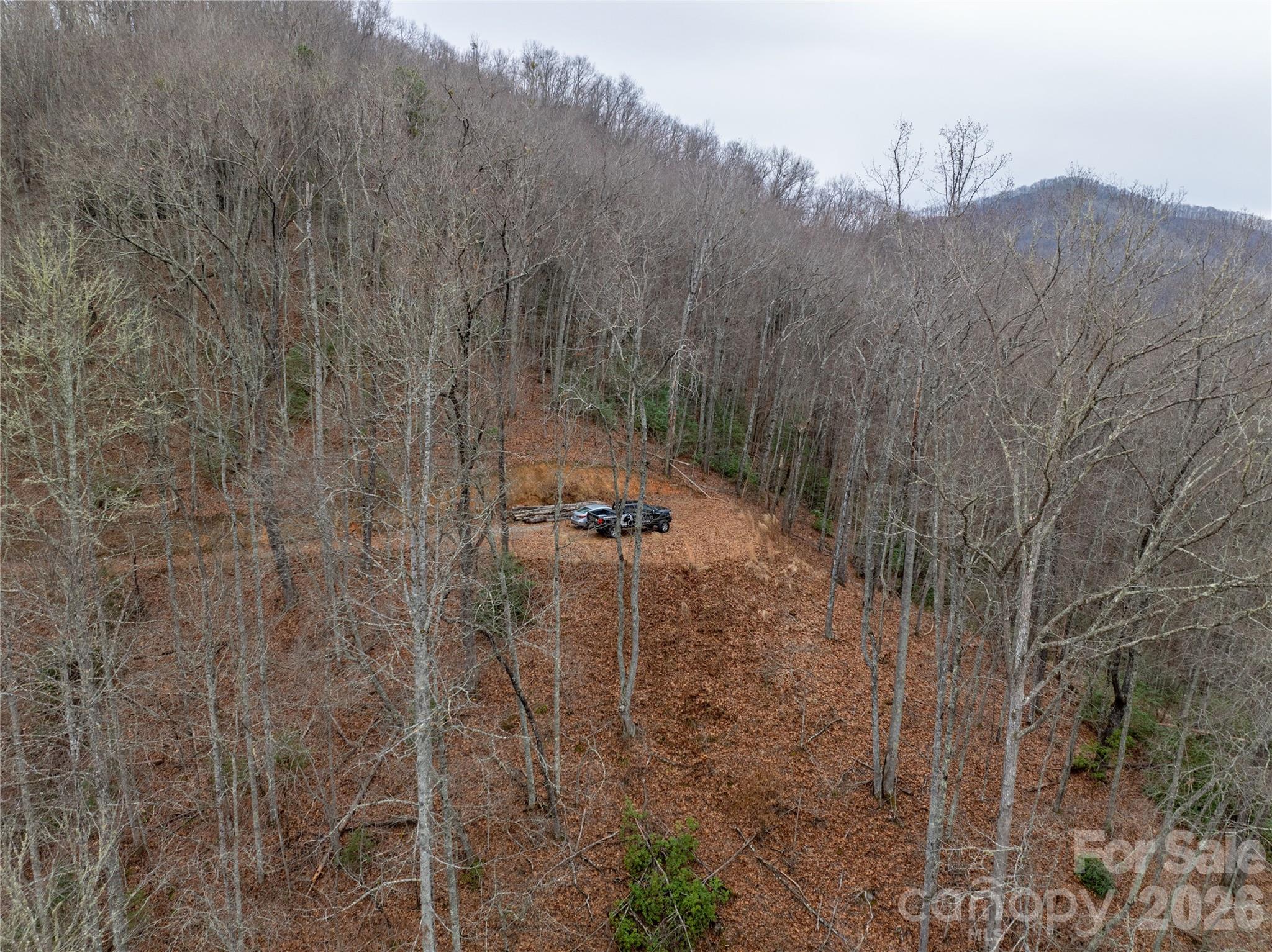 999 Breedlove Road Bryson City NC 28713
