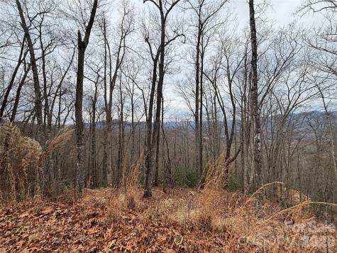 999 Breedlove Road Bryson City NC 28713